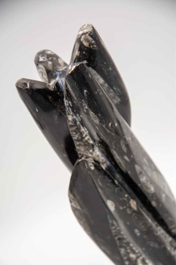 Black/Grey Orthoceras Fossil Sculpture '9in'