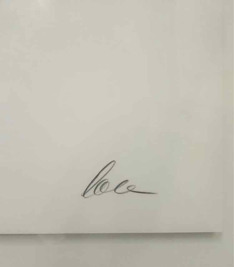 Art Sea Gull Signed Lithograph