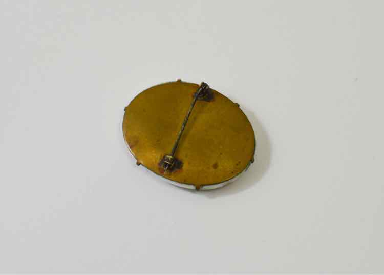 Victorian Handpainted Pin