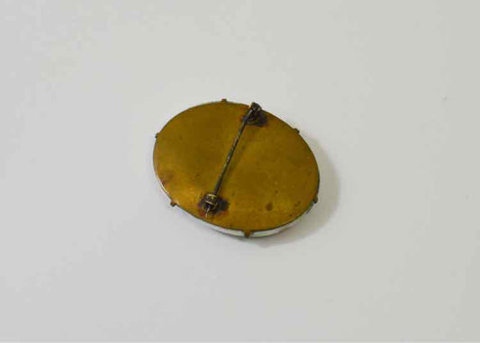 Victorian Handpainted Pin