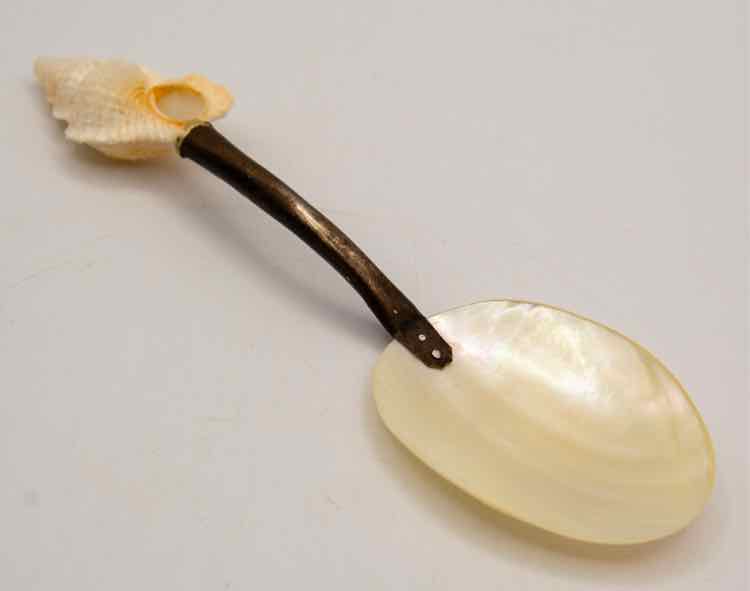 Mother of Pearl and Silver Spoon