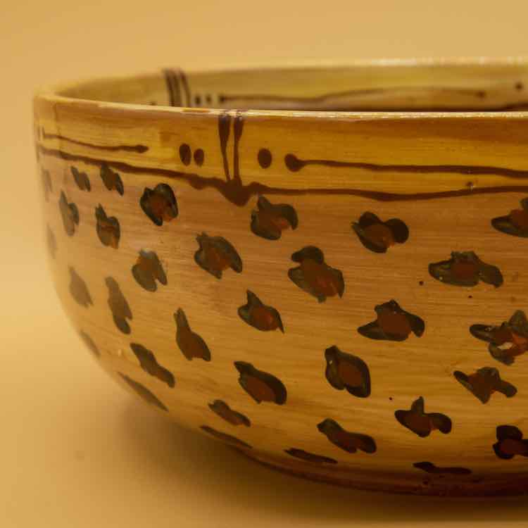 Cheetah Bowl