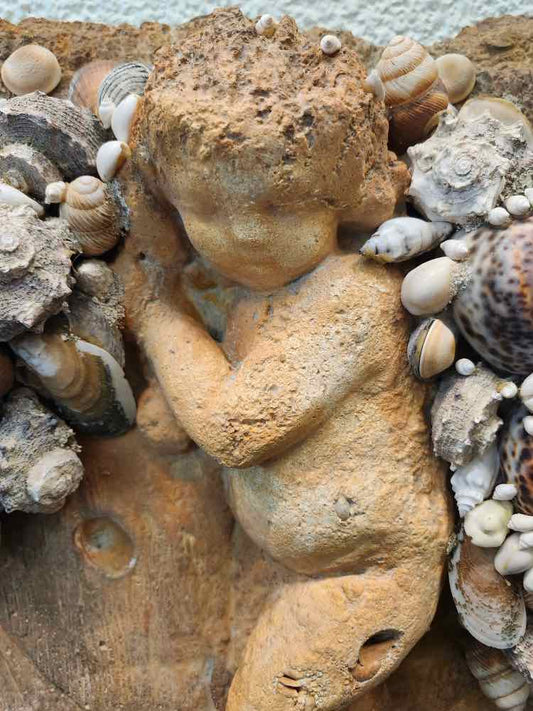 Cherub Stone and Shell Relief