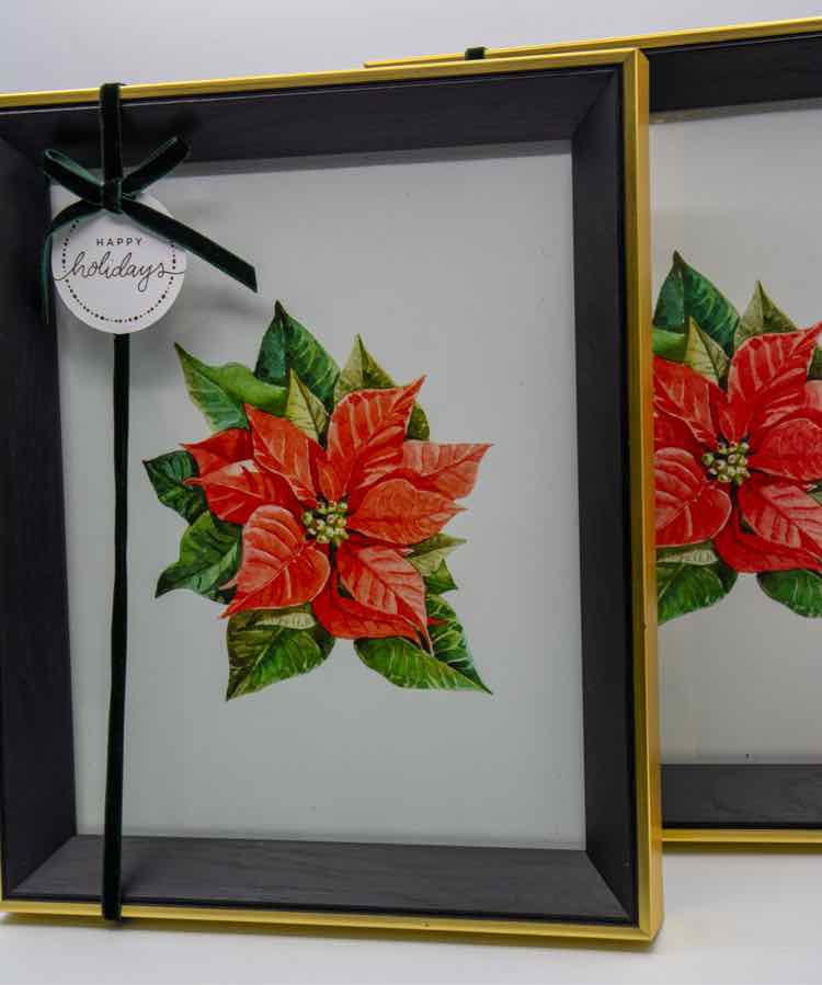 Framed Poinsettas