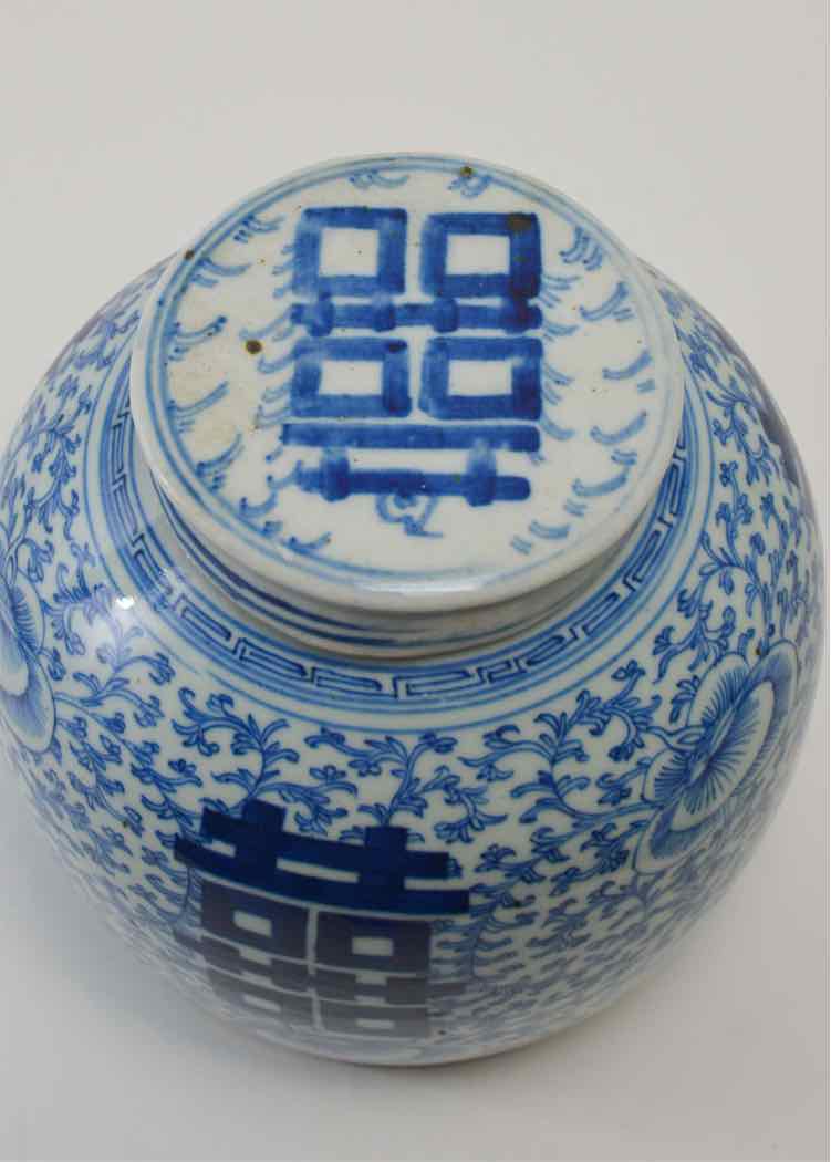 Qing Dyn Ginger