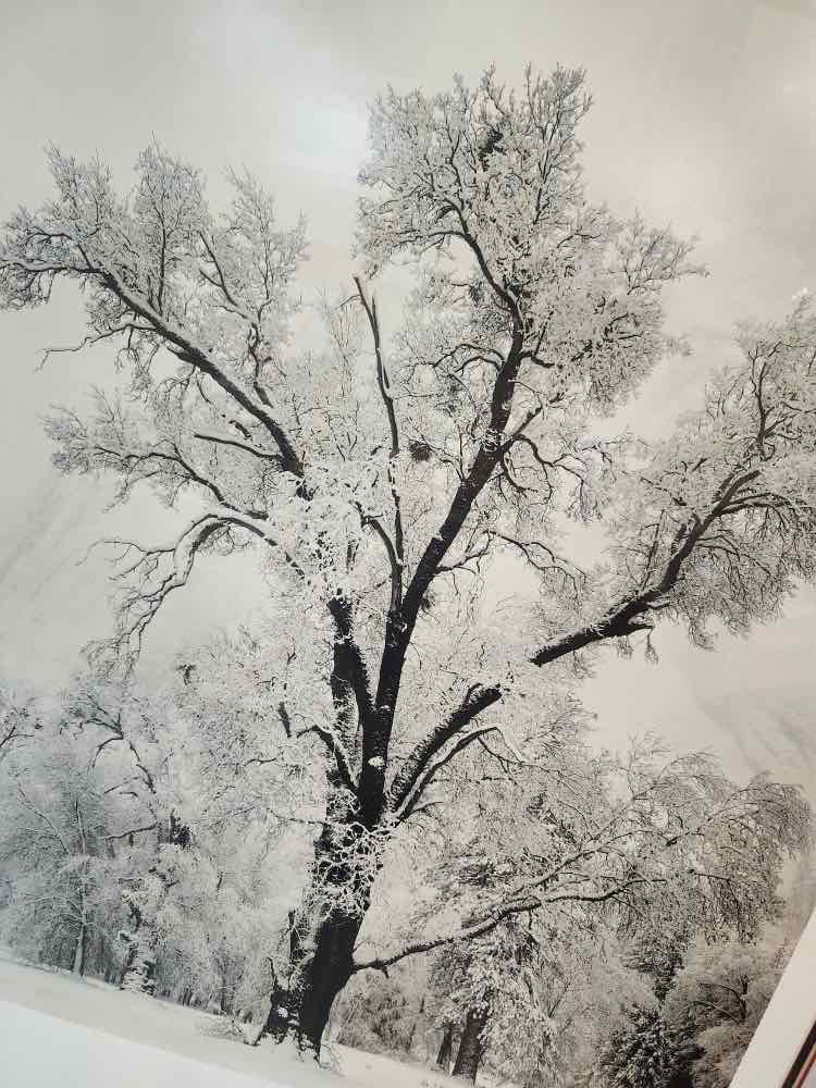'Winter' by Ansel Adams Photography Poster