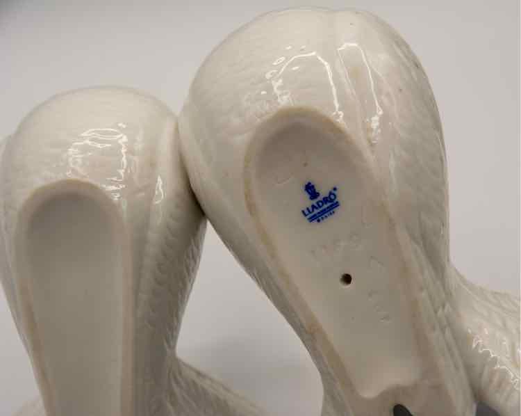 Llardo Doves