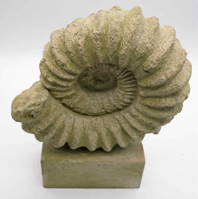Sea Shell Sculpture