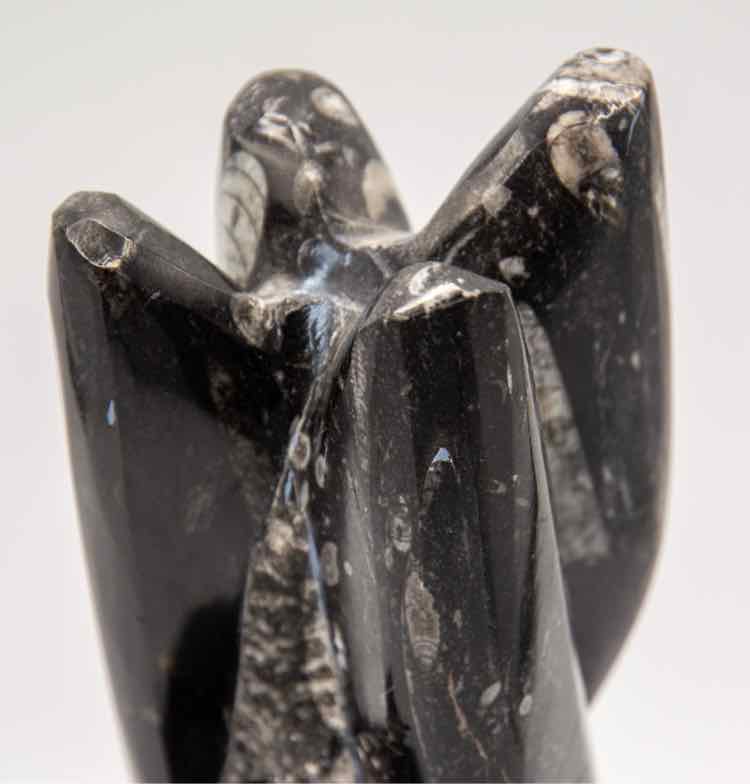 Black/Grey Orthoceras Fossil Sculpture '9in'