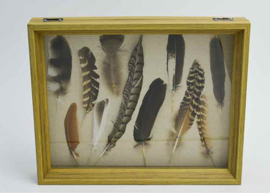 Framed Wild Bird Feather Shadow Box