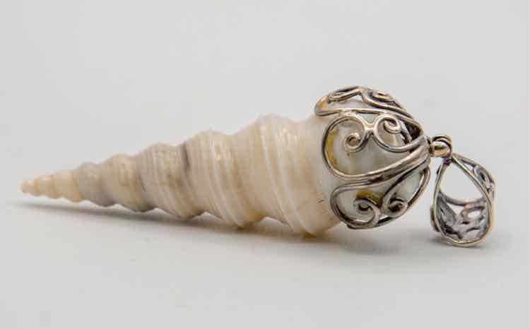 Stauer Sanibel Turret Shell w/Crystal
