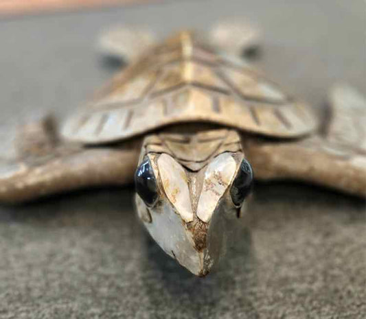 Steel Sea Turtle Wall Sculpture by Sara Stork