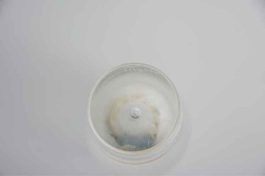 Steuben Vase