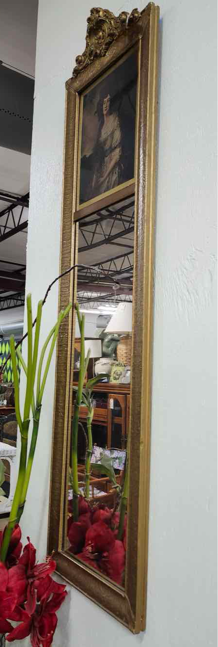 Trimude Thin Mirror 48”x14”