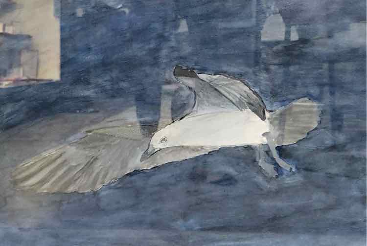 Art 'Johnathan Livingston Seagull' Watercolor, Unknown