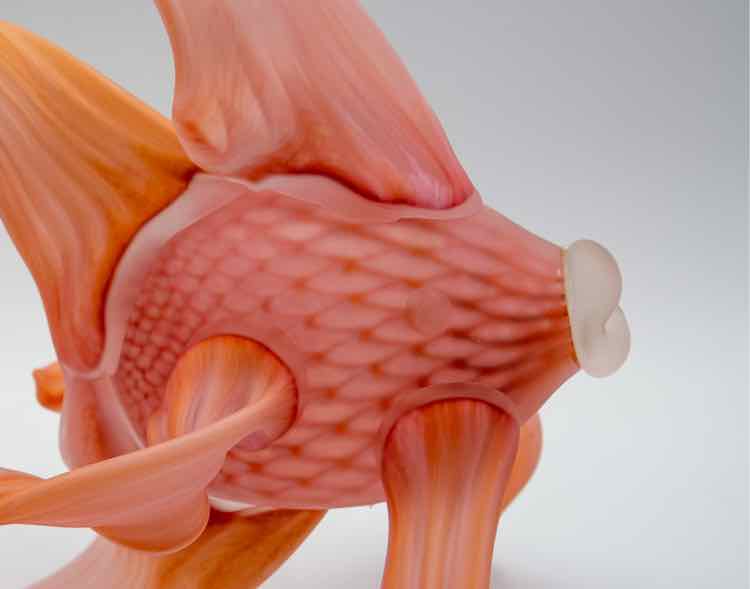 Pink Murano Fish