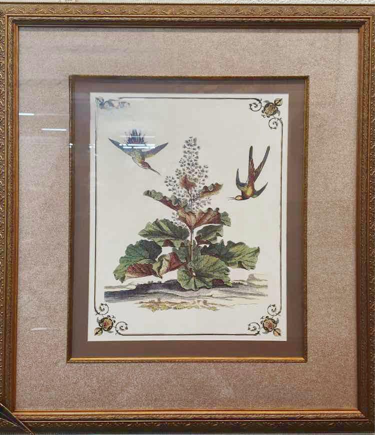 Botanical & Bird Etching 34”x40”