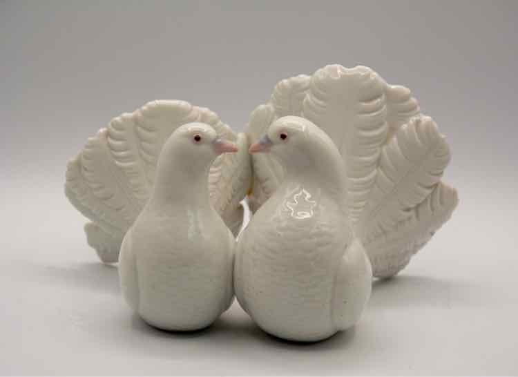 Llardo Doves