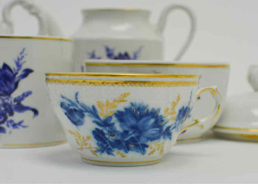 Vtg. Richard Ginori Porcelain Tea Service Dishware