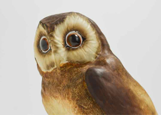 Royal Crown Derby Porcelain Owl