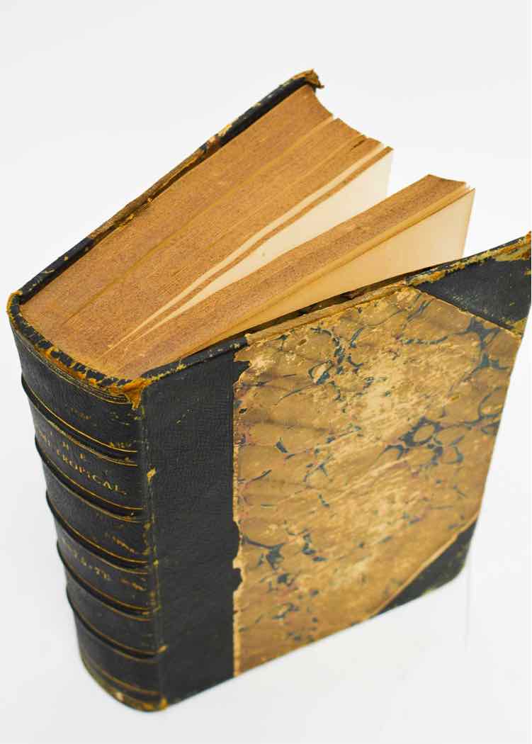 Book The Semi Tropical:A Monthly Periodical