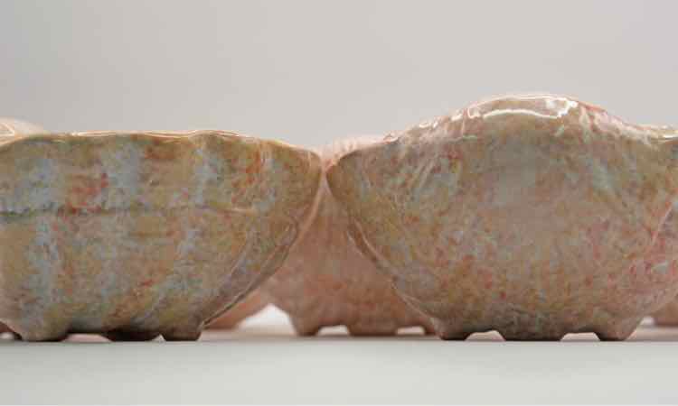 Shell Soup Bowls