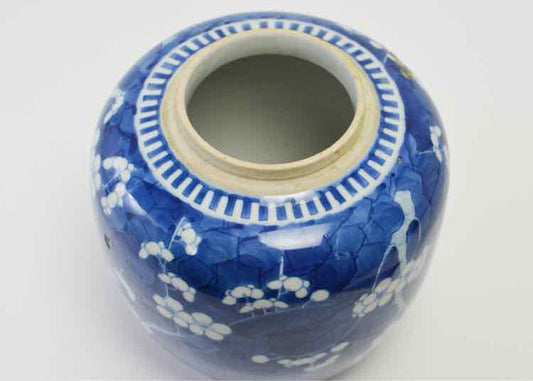 Qing Dynasty Ginger Jar