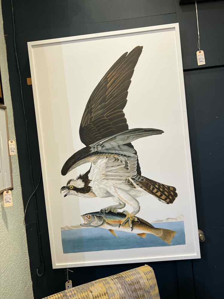 Audobron's Osprey Framed Giclee