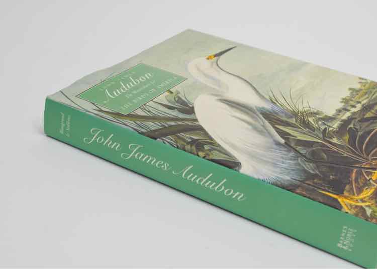 Book The Watercolors For The Birds of America