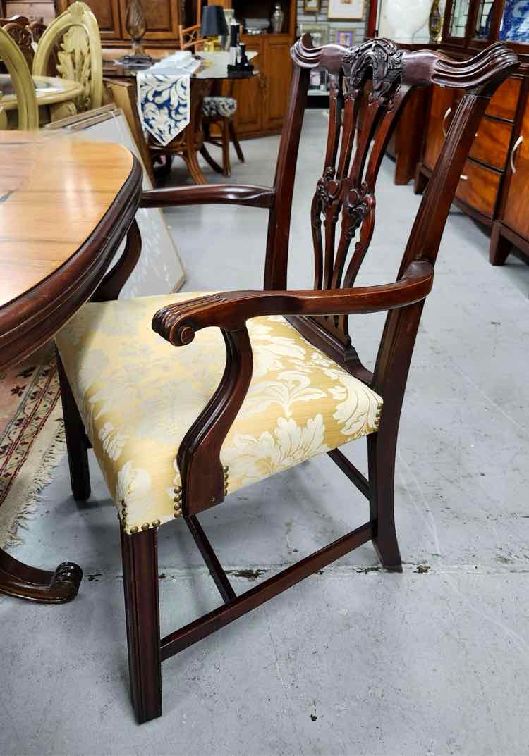 Dining Chairs