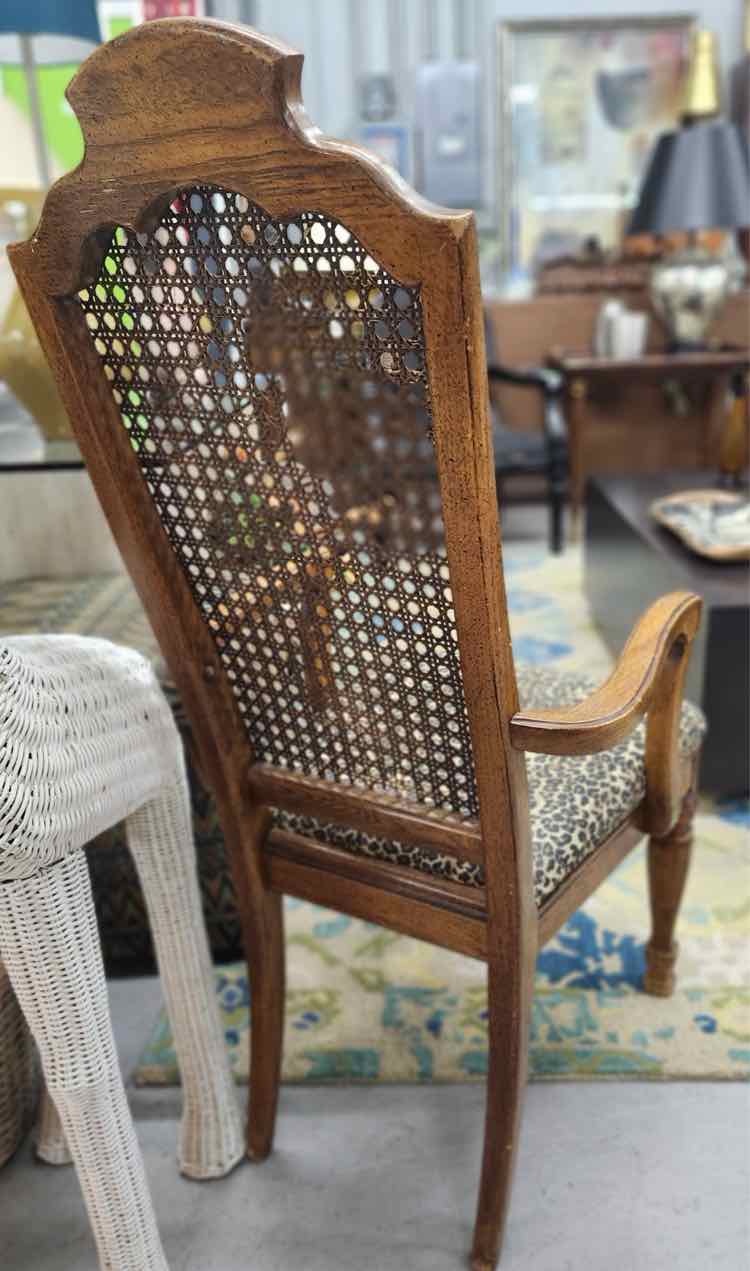 Cheetah Print Chair