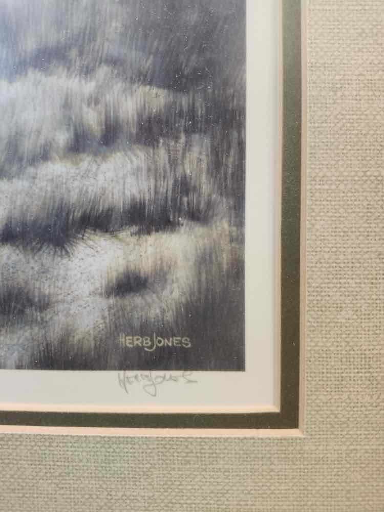 "Dune Castle" Litho by Herb Jones