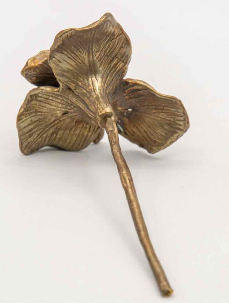 Bronze Orchid