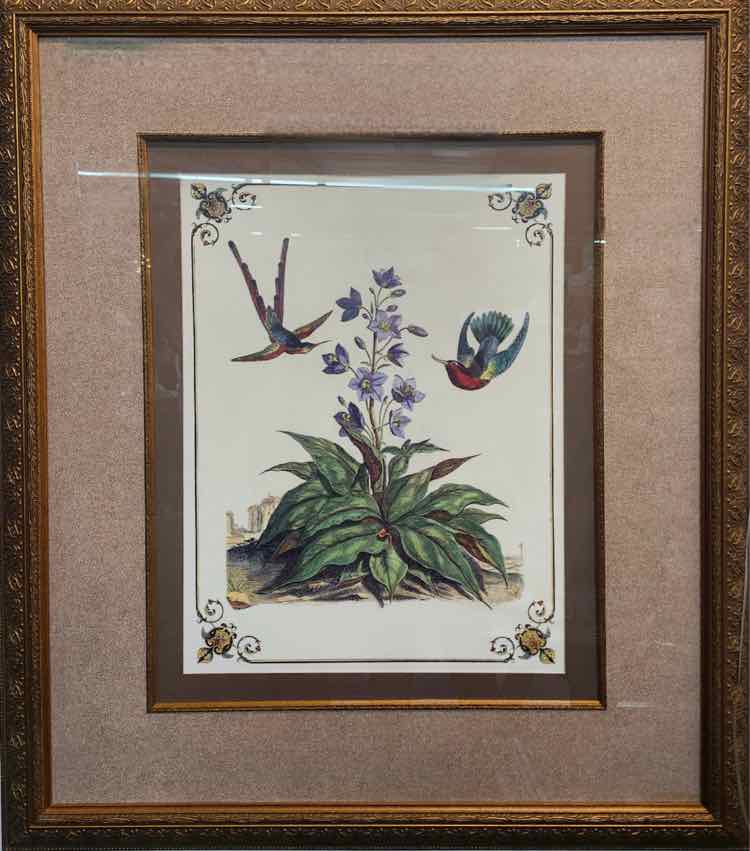 Dew Drop Botanical & Bird Etching 34”x40”