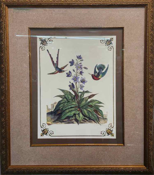 Dew Drop Botanical & Bird Etching 34”x40”