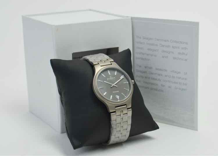 Skagen 105LTX Titanium Watch
