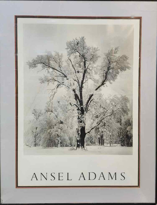 'Winter' by Ansel Adams Photography Poster