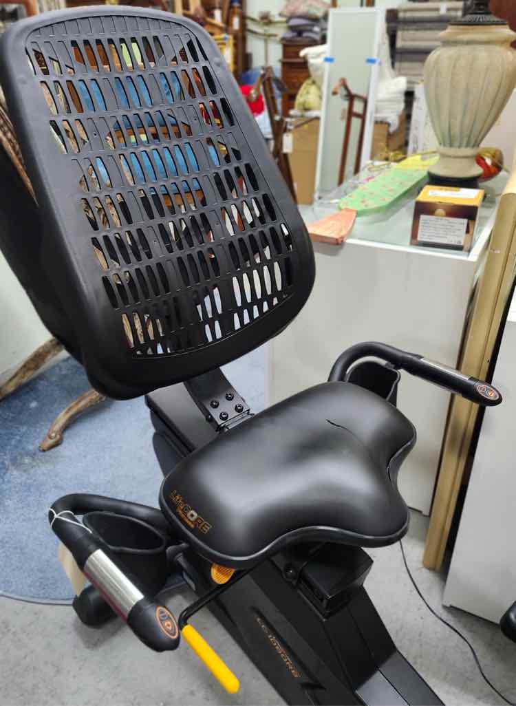 Life Core Exercise Machine