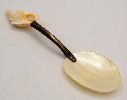 Mother of Pearl and Silver Spoon