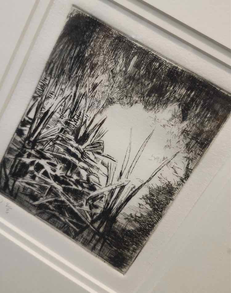 Art Ink on Paper signed/numbered