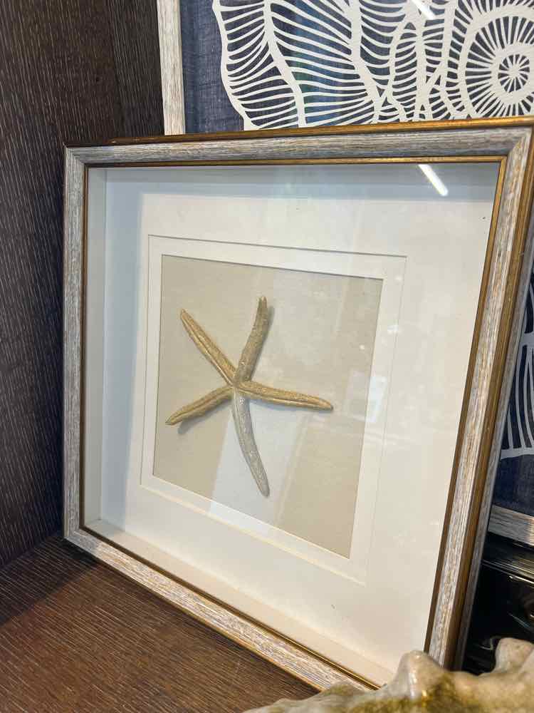 Art - Starfish Shadow Box