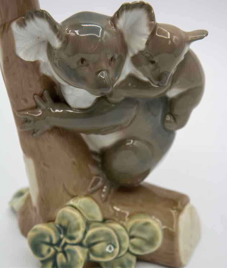 Llardo Koala
