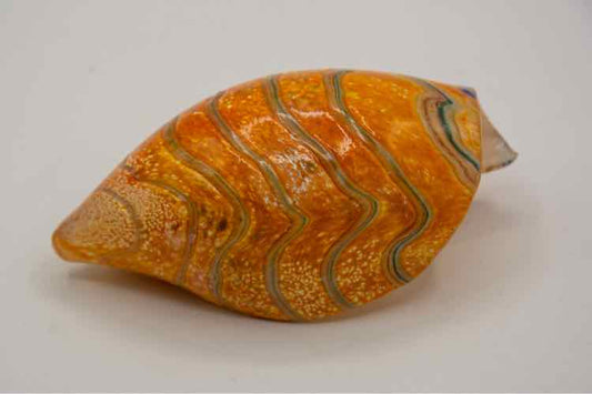 Glass Shell '6in'