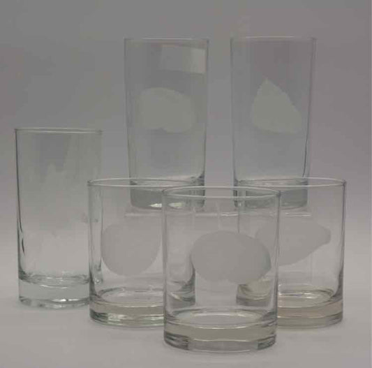 6 Bormioli Rocco-Like Highball Glasses