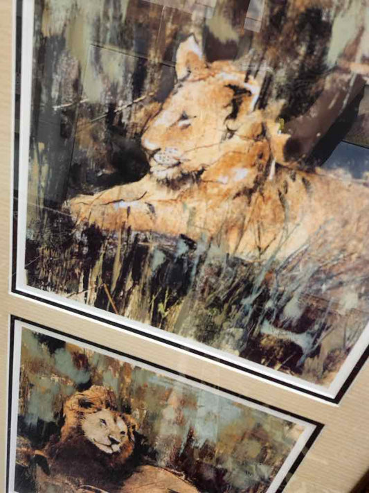 Art "Hearts of the Jungle" Prints by Liz Jorden