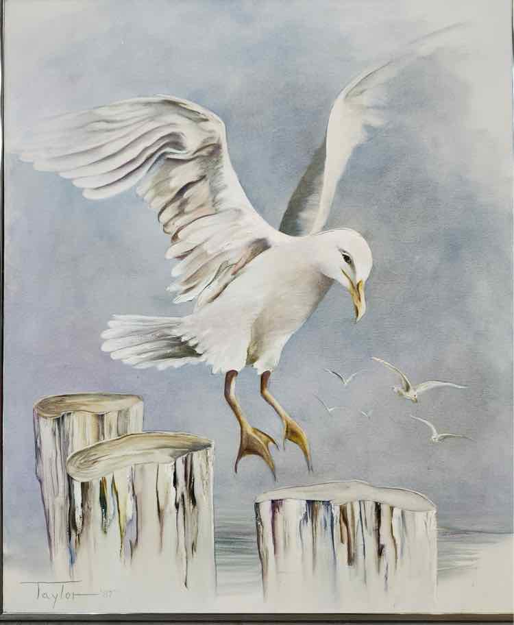 Seagulls Art Acrylic by Taylor