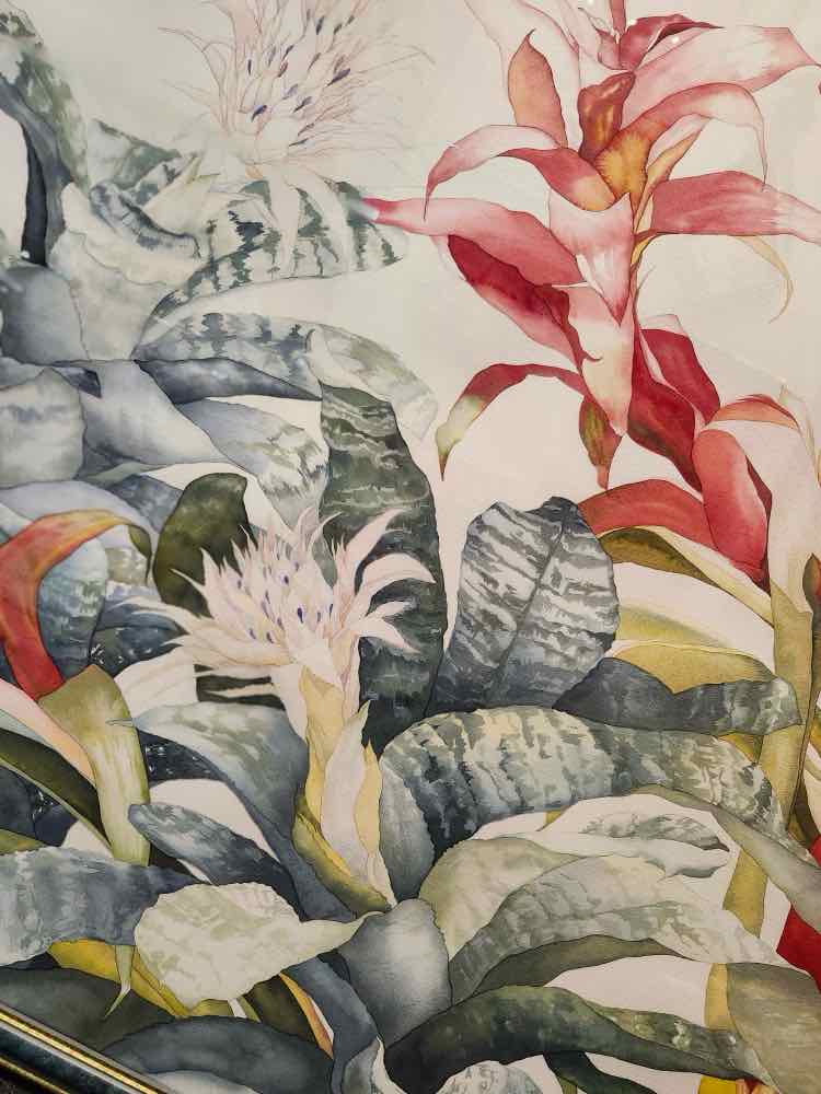 Art Bromeliad Lithograph