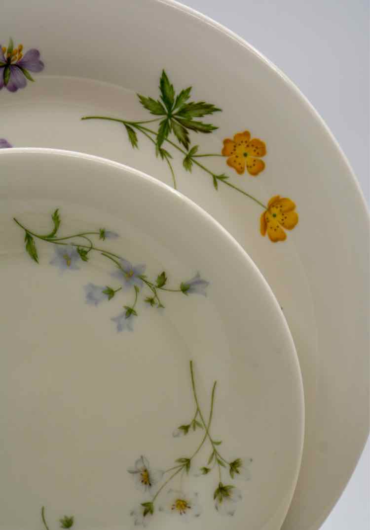 Royal Doulton Springtime Dishware