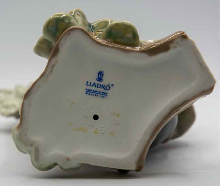 Llardo Koala
