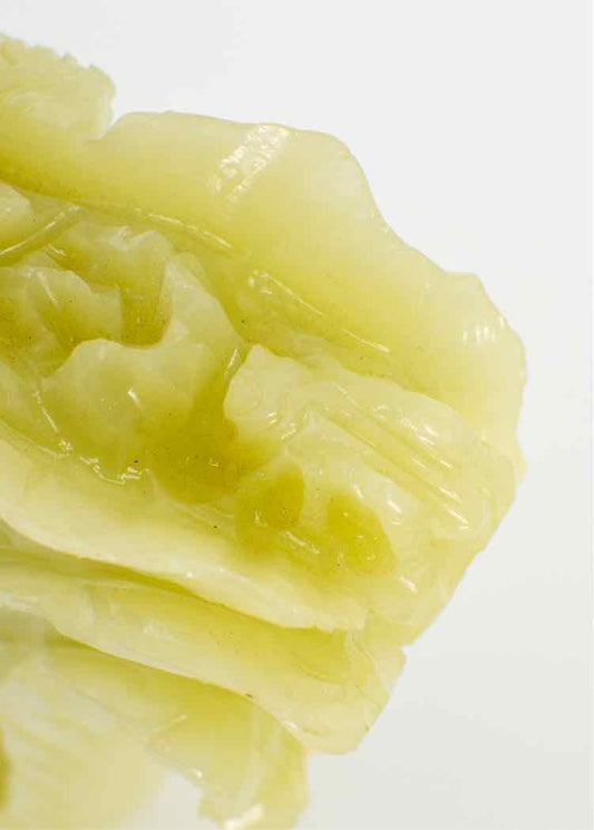 Vtg. Cabbage w/ Locust